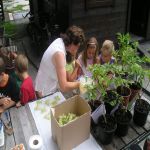 Holundertag   08